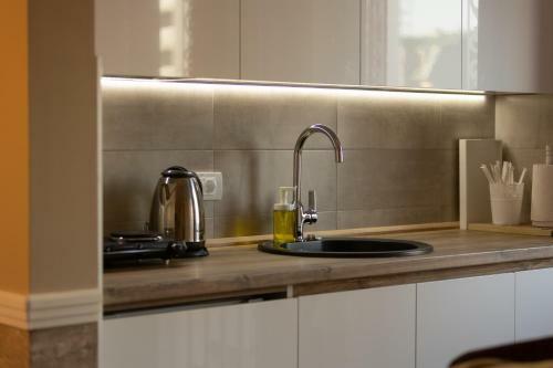 Apartman Studio Milica II