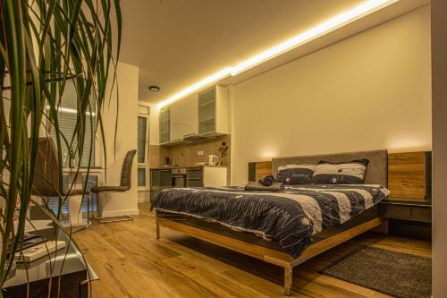 Apartman Maja
