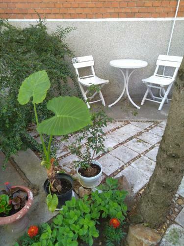 Sandrea Studio Apartment