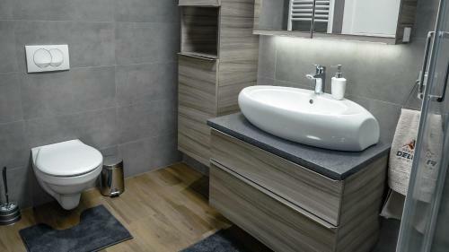 Apartment Delux 14