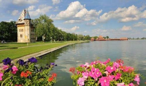 Bed & Breakfast Apartments - City Center Subotica