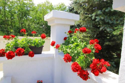 Villa ?umski Raj