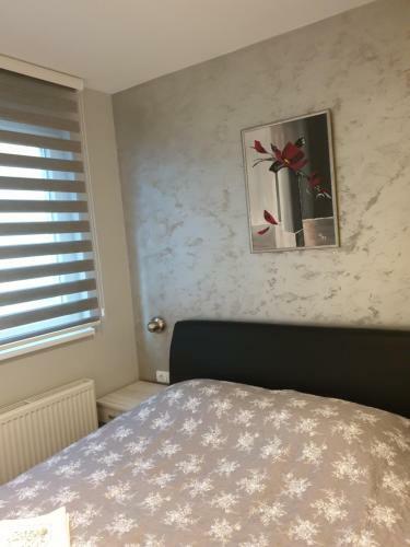 Apartamento Elena Lux