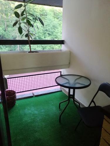 Apartamento Lara