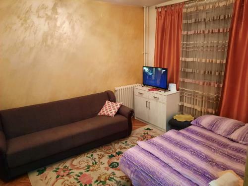 Stan Na Dan Apartman 31
