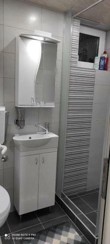 Apartamento Stan Na Dan Sinisa
