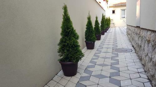 Lux Apartman U Centru Grada