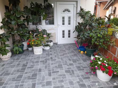 Apartmani Evelin 1