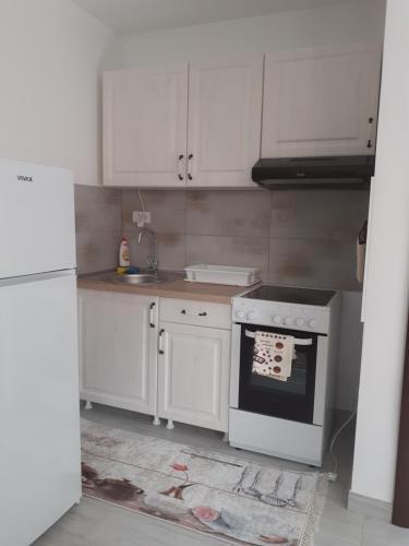 Apartman Markovic 2