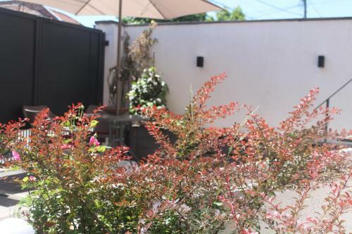 Apartamento Oina Studio House