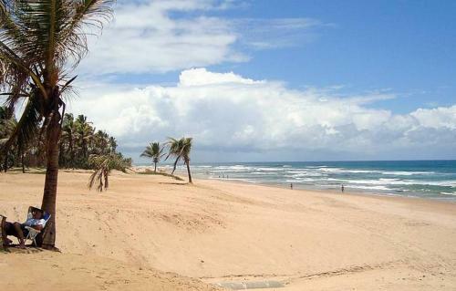 Suspiro Da Bahia P� Na Areia