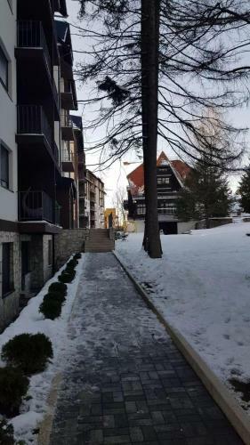 Apartman Grbovic Titova Vila