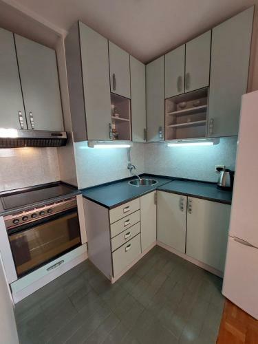 Apartamento Lion Lux Belgrade
