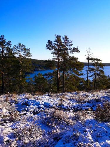 Apartamento Viken - Cottage By Dalslands Canal