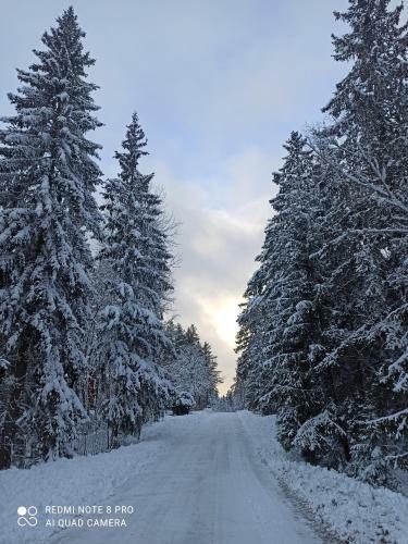 Korsvagen