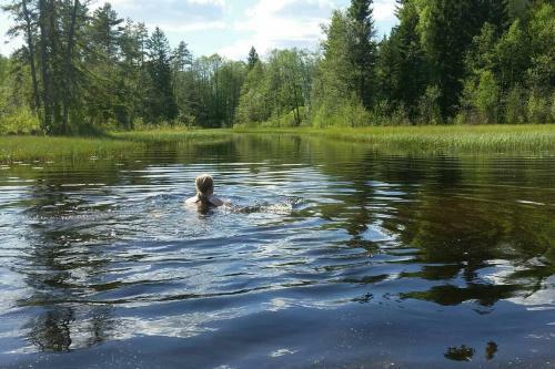Cozy Lodge In V�rmland Sweden
