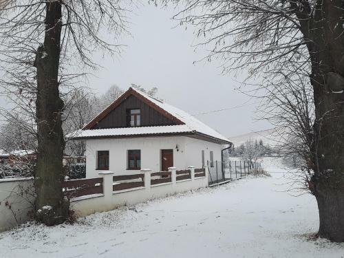 Apartm�ny M�?a