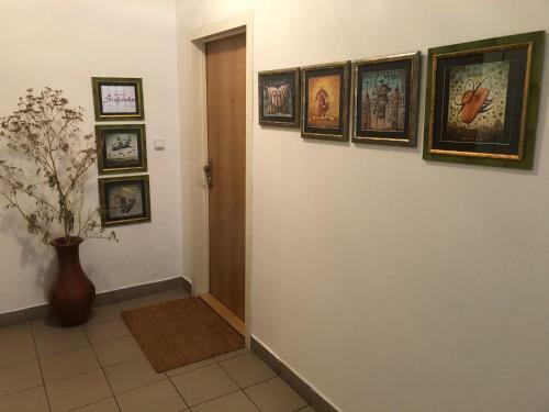 Apartment ?tef�nka