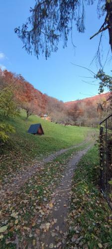 Villa Na Samote U Lesa