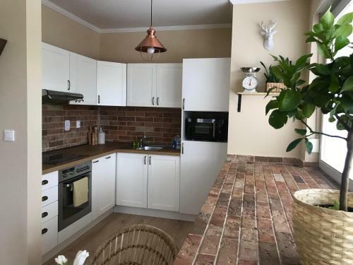 Apartamento Rustique ?amor�n