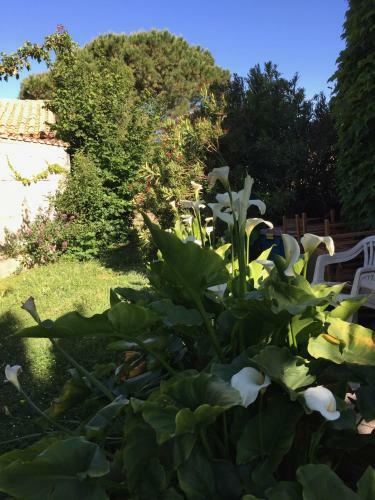 Bed & Breakfast Chez Marydidou : Chambres D'h�tes