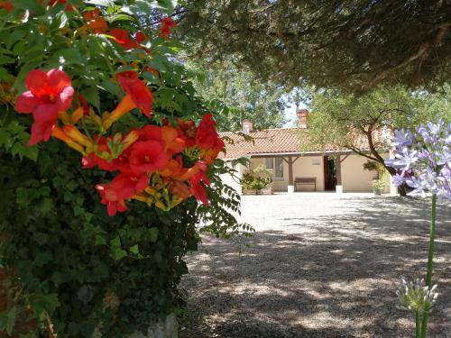 Camping La Loire Fleurie