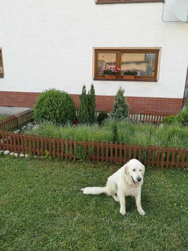 Apartm�ny Lenka