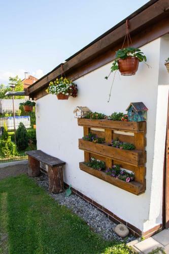 Apartm�ny Lenka