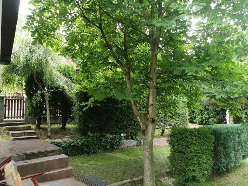 Chata Sami