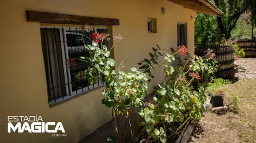 Villa Caba�as En Valle Grande