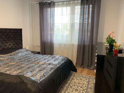 Apartment T8