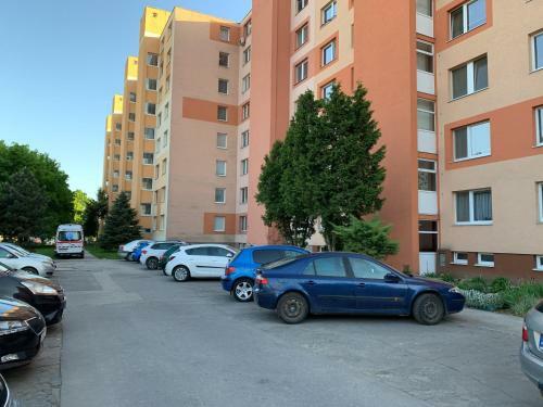 Apartment T8