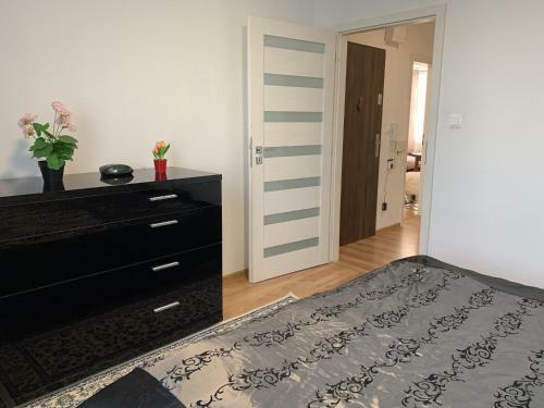 Apartment T8