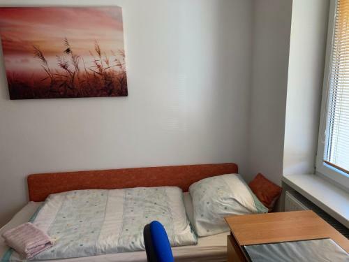 Apartmen Zelenecska