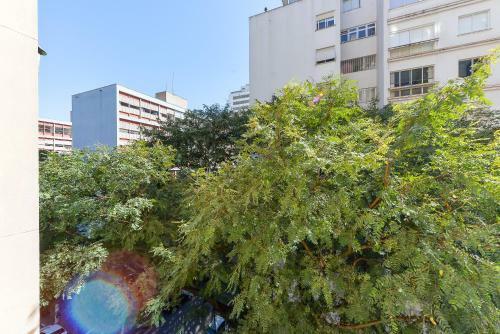 Lindo Apartamento No Cora��o de Higien�polis