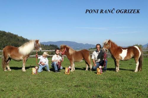 Apartamento Eko Poni Ran? Ogrizek