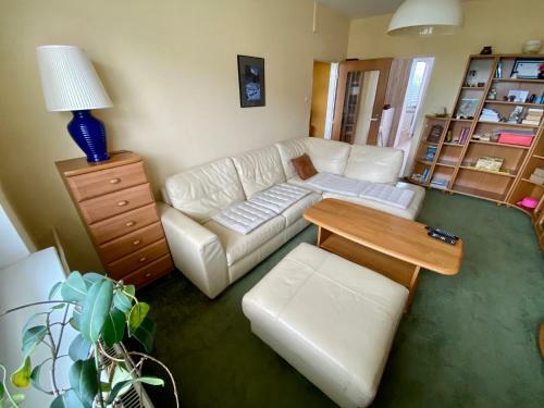 Apartman 176