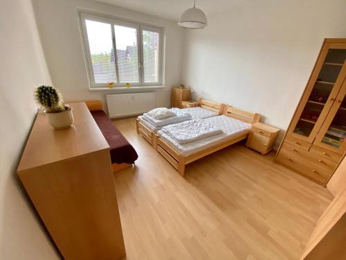 Apartman 176