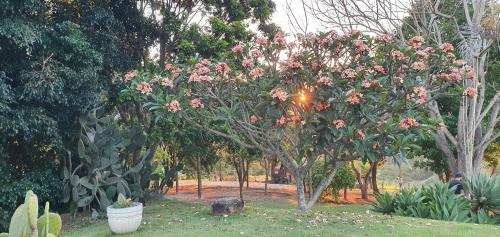 Bed & Breakfast Ellementares Guest House