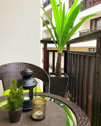 Apartman Coco
