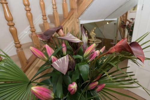 Bed & Breakfast Danehurst