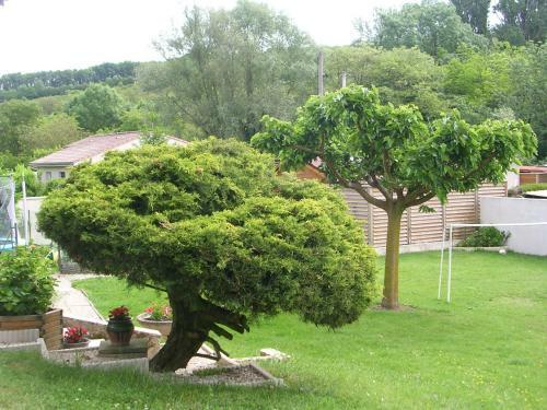 Bed & Breakfast Chambre D'h�tes Tardy