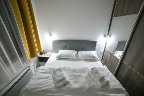 Vila Elsa Apartmani Kosta Todorovic
