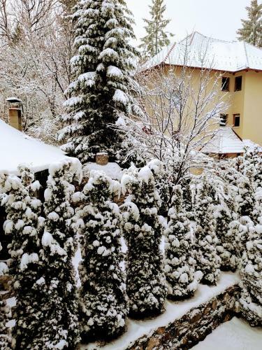 Apartman Bella