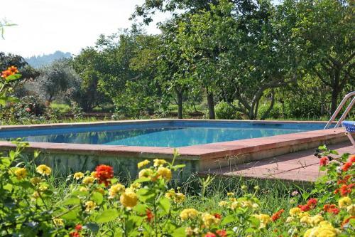 Villa Punxa