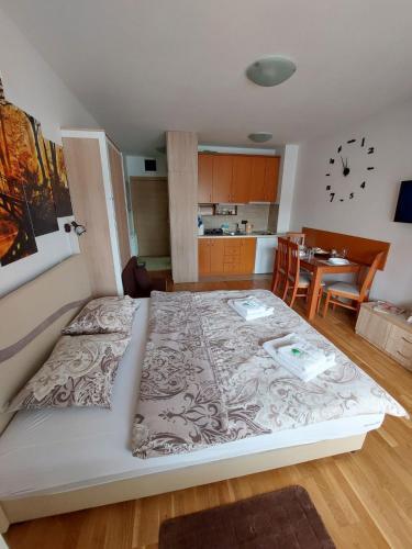 Zlatibor Apartman 69