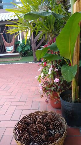 Guesthouse Mata Da Praia