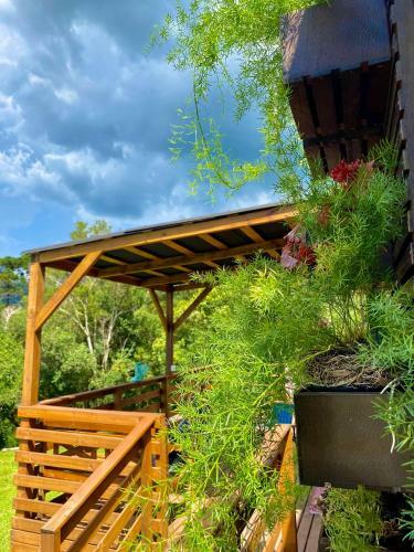 Lodge Tinyhouse Da Floresta