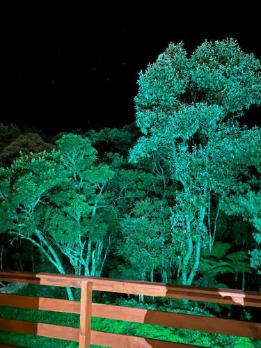 Lodge Tinyhouse Da Floresta