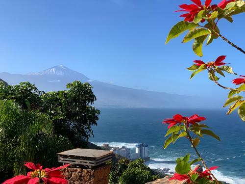 Villa Dream Ocean View